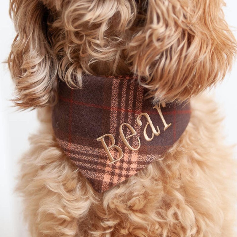 Personalized Embroidered Christmas Dog Bandana with Name Dog Bandana with Snaps New Puppy Gift