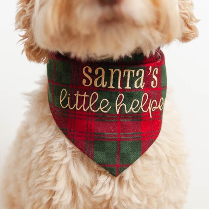 Personalized Embroidered Christmas Dog Bandana with Name Dog Bandana with Snaps New Puppy Gift