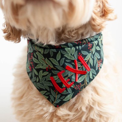 Personalized Embroidered Christmas Dog Bandana with Name Dog Bandana with Snaps New Puppy Gift