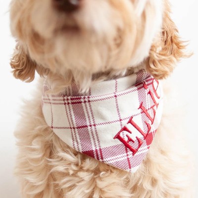 Personalized Embroidered Christmas Dog Bandana with Name Dog Bandana with Snaps New Puppy Gift