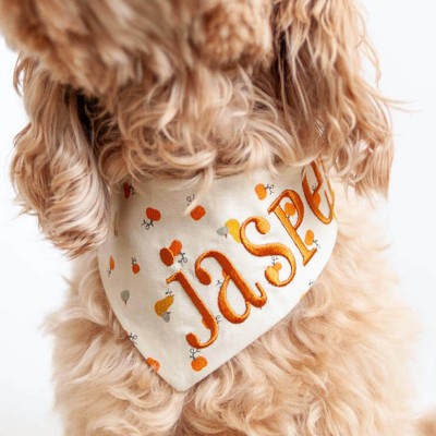 Personalized Embroidered Christmas Dog Bandana with Name Dog Bandana with Snaps New Puppy Gift