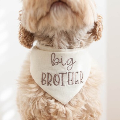 Personalized Embroidered Christmas Dog Bandana with Name Dog Bandana with Snaps New Puppy Gift
