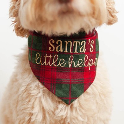 Personalized Embroidered Christmas Dog Bandana with Name Dog Bandana with Snaps New Puppy Gift