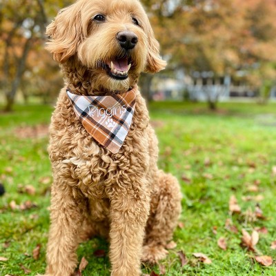 Personalized Embroidered Christmas Dog Bandana with Name Dog Bandana New Puppy Gift