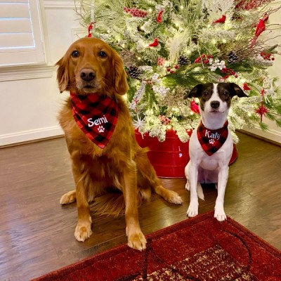 Personalized Embroidered Christmas Dog Bandana with Name Dog Bandana New Puppy Gift