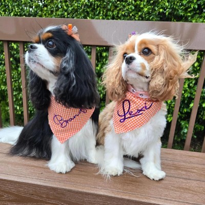 Personalized Embroidered Halloween Boo Dog Bandana with Name Tie and Snap Reversible Bandana